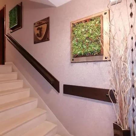 Boutique Ikonomov 3* Bansko