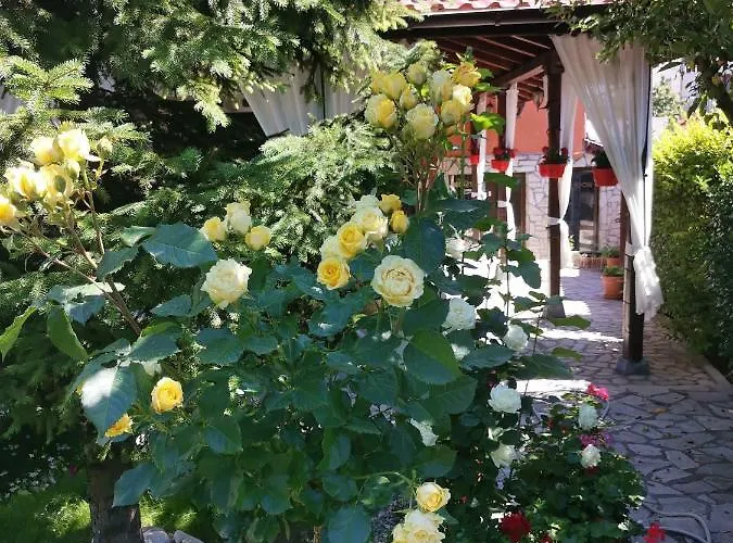 Gasthuis Boutique Ikonomov Bansko