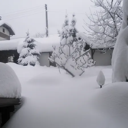 Boutique Ikonomov Gasthuis