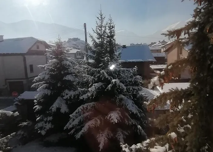 招待所 Boutique Ikonomov